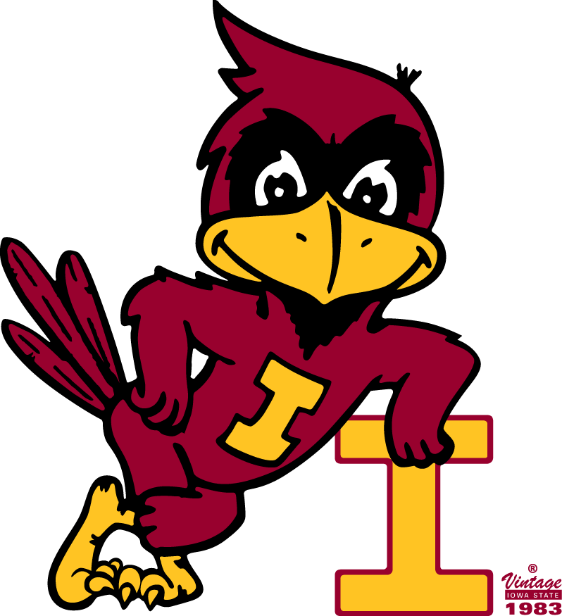 Iowa State Cyclones 1983-1995 Alternate Logo diy DTF decal sticker